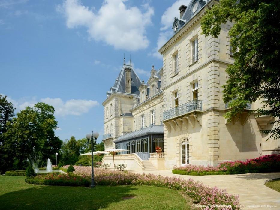 Chateau De Mirambeau - Relais & Chateaux Buitenkant foto