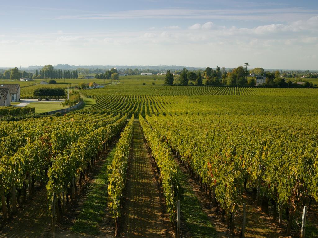 Chateau De Mirambeau - Relais & Chateaux Buitenkant foto